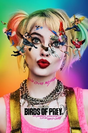 Birds of Prey (2020) Hindi (ORG) Dual Audio 450MB HD Poster Download - Filmyzilla