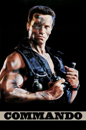 Commando (1985) Hindi Dual Audio 300MB HD Poster Download - Filmyzilla