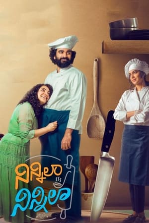 Ninnila Ninnila (2021) Hindi Movie – [400MB] HD Poster Download - Filmyzilla