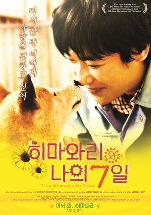 Pup (2013) Hindi Dual Audio 280MB HD Poster Download - Filmyzilla