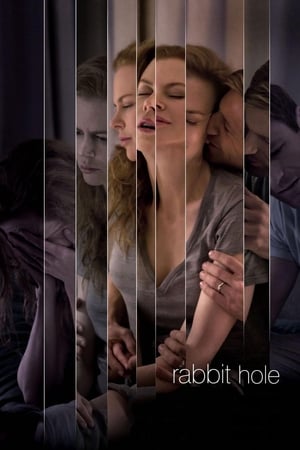 Rabbit Hole (2010) Hindi Dual Audio 300MB HD Poster Download - Filmyzilla