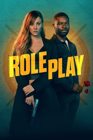Role Play 2023 Hindi Dual Audio – HD Poster Download - Filmyzilla