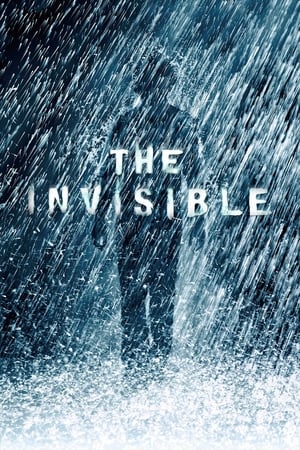 The Invisible 2007 Hindi Dual Audio 300MB HD Poster Download - Filmyzilla